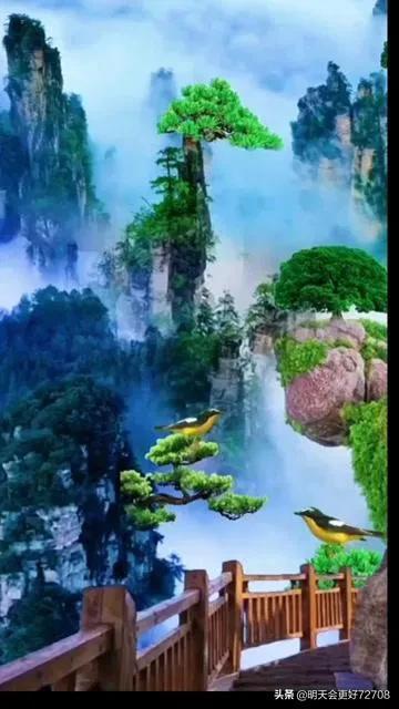 厉害了我的巧虎8